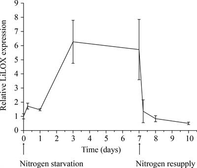 Plastidic membrane lipids are oxidized by a lipoxygenase in Lobosphaera incisa